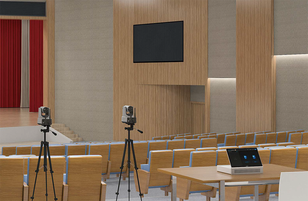 Visioconférence professionnelle